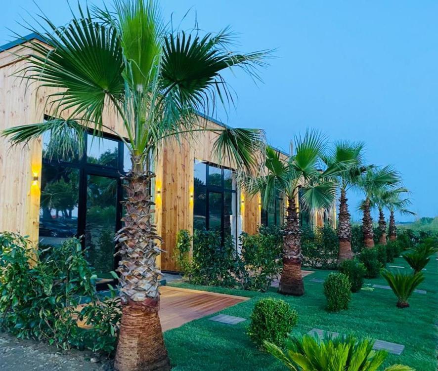Havana House Sakes Exterior photo