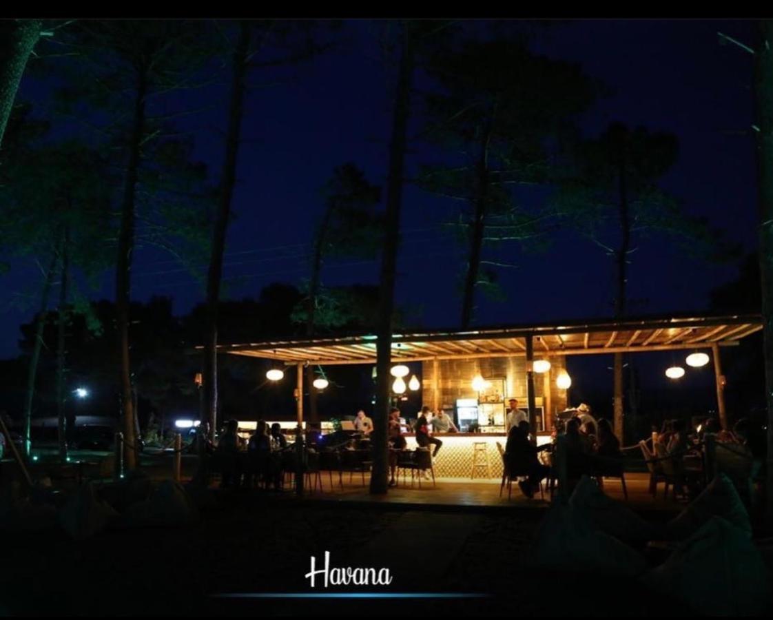 Havana House Sakes Exterior photo
